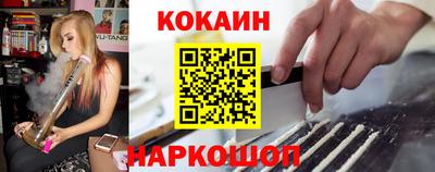 apvp Бийск