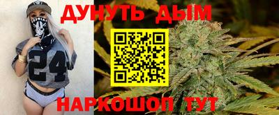 apvp Бийск