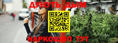 apvp Бийск