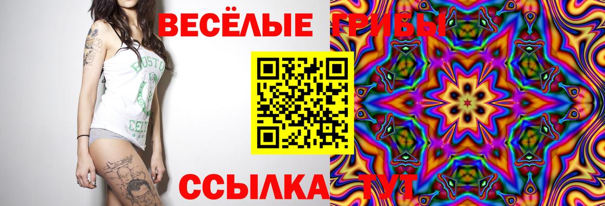 Галлюциногенные грибы Magic Shrooms  Вход с VPN  Псилоцибиновые грибы Cubensis  хочу наркоту  Гатчина 