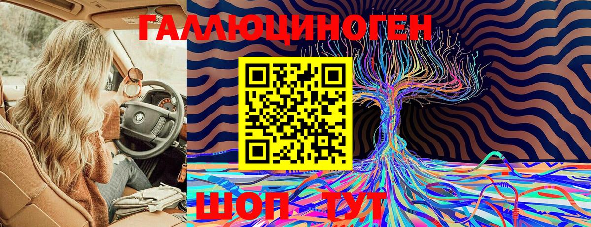Галлюциногенные грибы мухоморы Гатчина