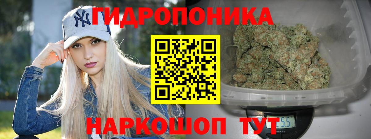 Конопля индика Гатчина